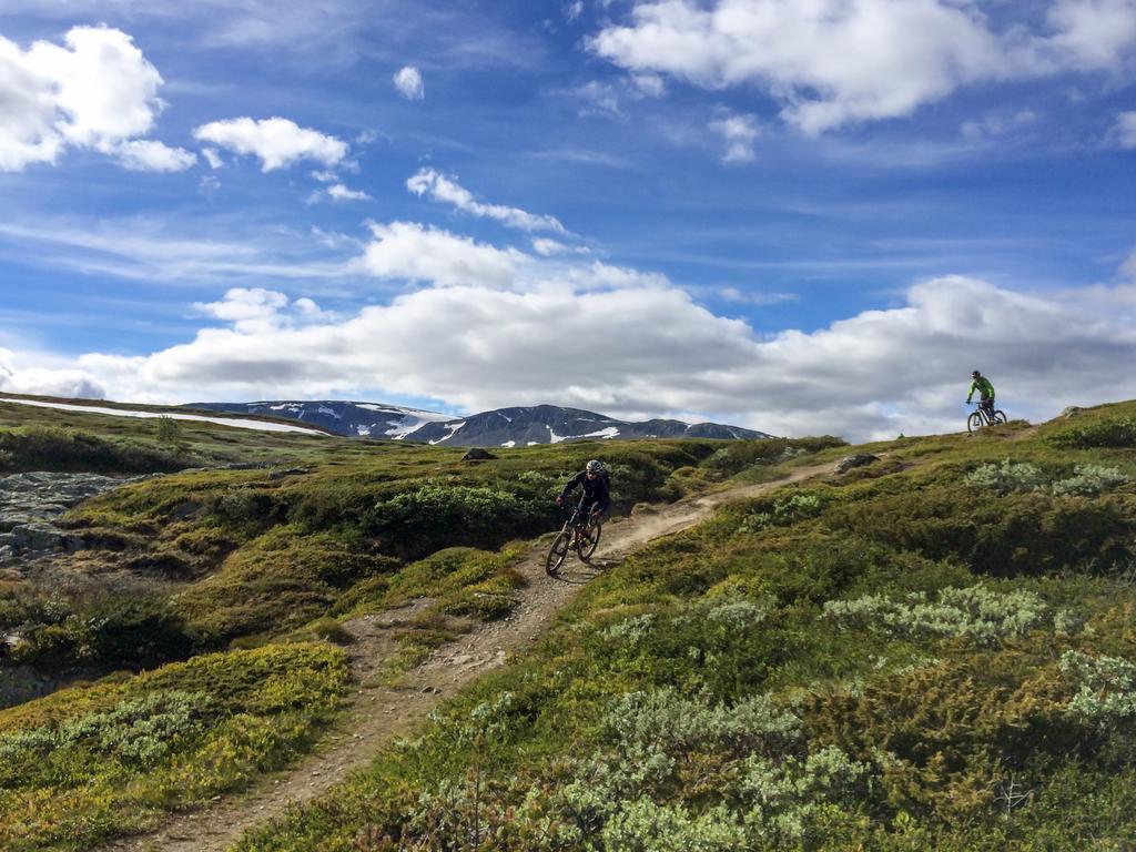 Liatoppen Fjellhotell Ол Экстерьер фото